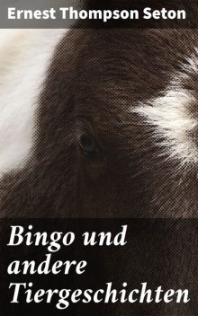 Bingo und andere Tiergeschichten, Ernest Thompson Seton