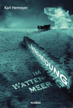 Entscheidung im Wattenmeer, Karl Hemeyer