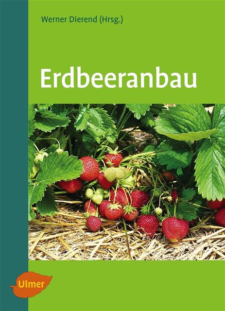Erdbeeranbau, Erika Krüger, Ludger Linnemannstöns, Ralf Jung, Steden, Tilman Keller, Werner Dierend