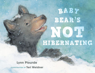Baby Bear's Not Hibernating, Lynn Plourde
