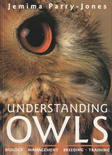 Understanding Owls, Jemima Parry-Jones