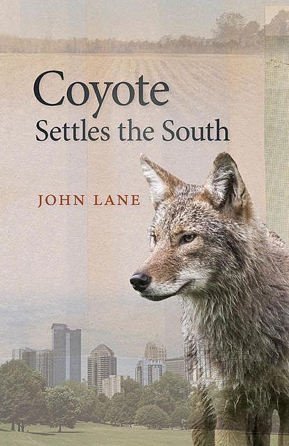 Coyote Settles the South, John Lane
