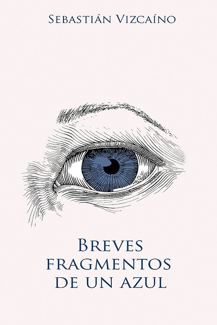 Breves fragmentos de un azul, Sebastián Vizcaíno