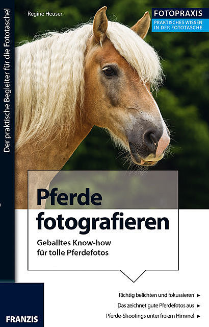 Foto Praxis Pferde fotografieren, Regine Heuser