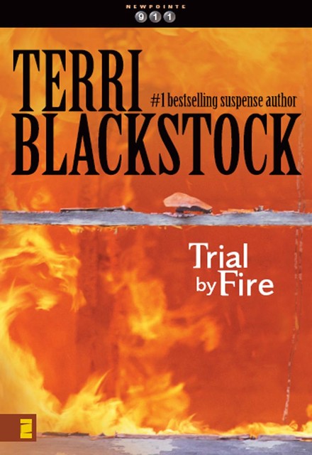 Trial by Fire, Terri Blackstock