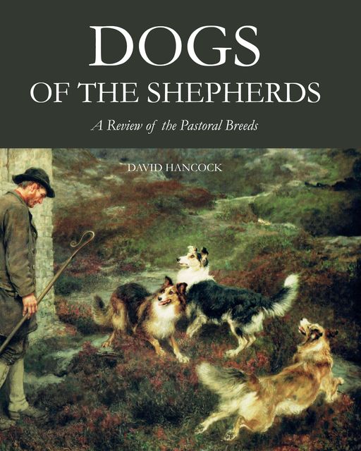 Dogs of the Shepherds, David Hancock