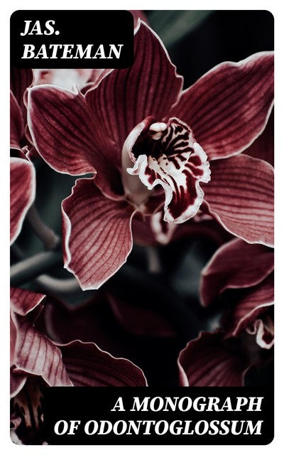 A Monograph of Odontoglossum, Jas. Bateman
