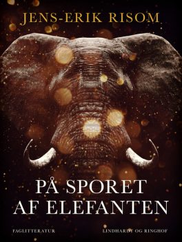 På sporet af elefanten, Jens-Erik Risom