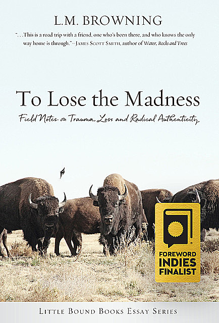 To Lose the Madness, L.M. Browning