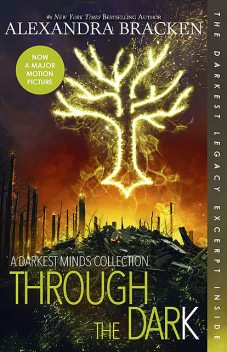 Through the Dark (A Darkest Minds Collection) (A Darkest Minds Novel), Alexandra Bracken