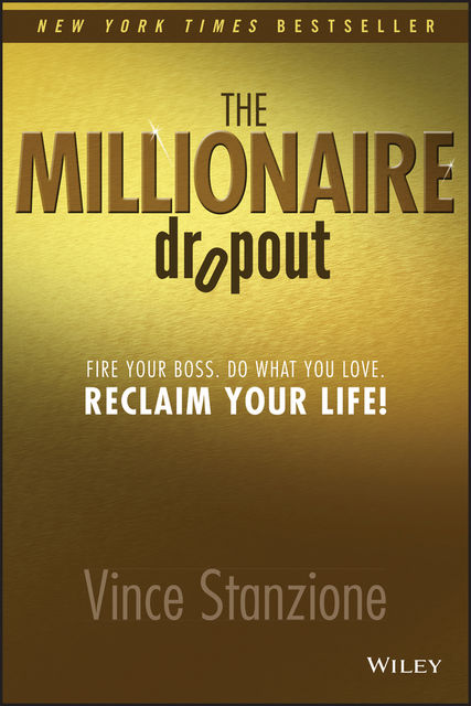 The Millionaire Dropout, Vince Stanzione