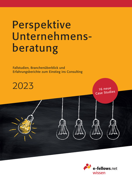 Perspektive Unternehmensberatung 2023, e-fellows. net