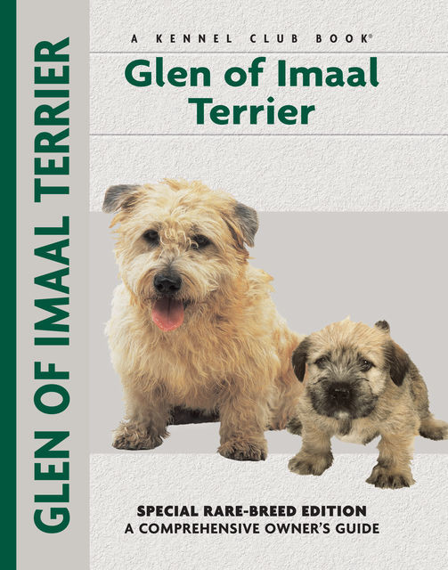 Glen of Imaal Terrier, Mary Brytowski