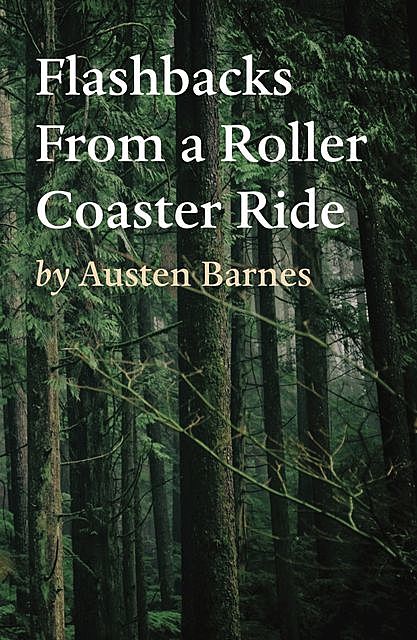 Flashbacks From a Roller Coaster Ride, Austen Barnes