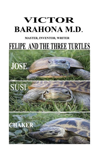 Felipe and the Three Turtles, Victor Barahona