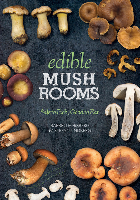 Edible Mushrooms, Barbro Forsberg