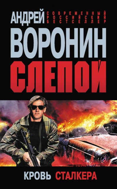 Слепой. Кровь сталкера, Андрей Воронин