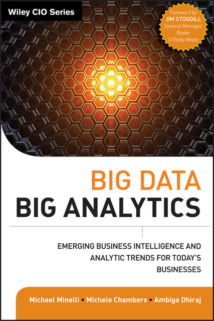 Big Data, Big Analytics, Ambiga Dhiraj, Michael Minelli, Michele Chambers
