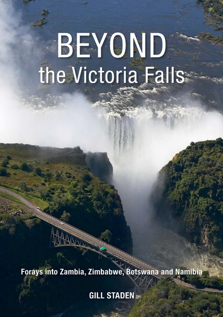 Beyond the Victoria Falls, Gill Staden