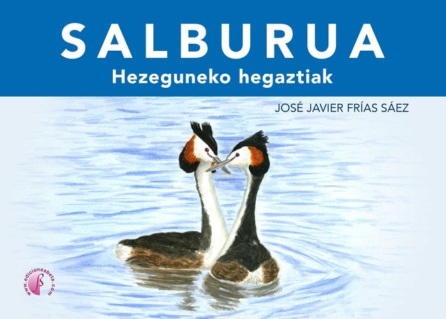 SALBURUA, José Javier Frías Sáez