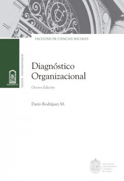 Diagnóstico organizacional, Darío Rodríguez Mansilla