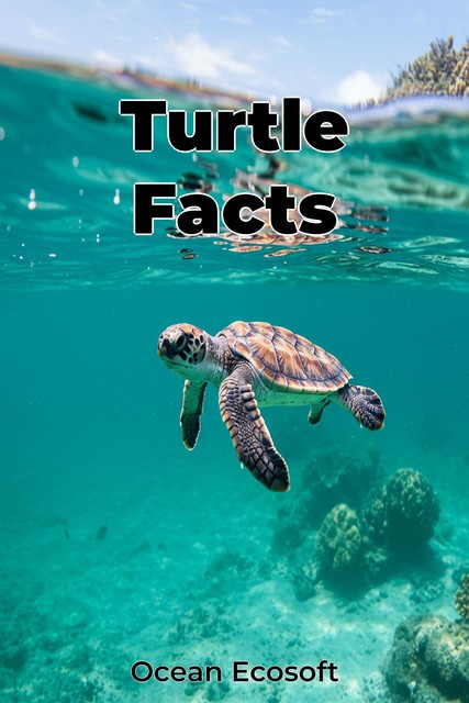 Turtle Facts, Ocean Ecosoft