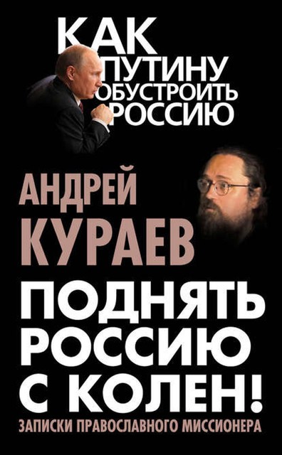 Поднять Россию с колен! Записки православного миссионера, Андрей Кураев