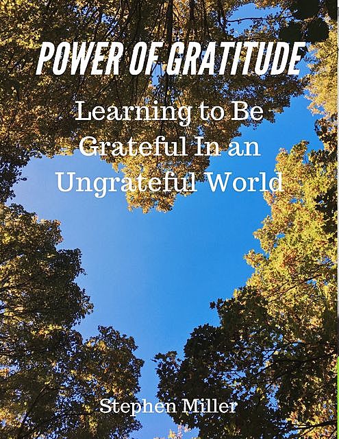 Power of Gratitude: Learning to Be Grateful In an Ungrateful World, Stephen Miller