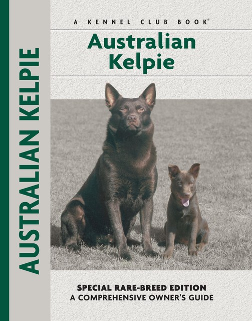 Australian Kelpie, Charlotte Schwartz