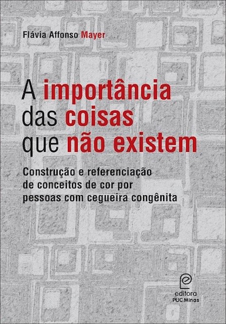 A importância das coisas que não existem, Flávia Affonso Mayer