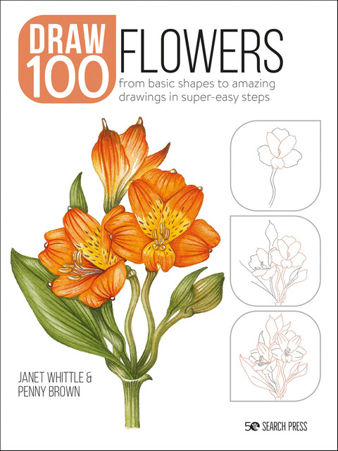 Draw 100: Flowers, Janet Whittle