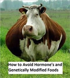 How to Avoid Hormone's and Genetically Modified Foods, 99 Cent eBook