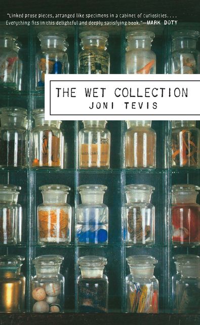 The Wet Collection, Joni Tevis