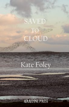 Saved to Cloud, Kate Foley
