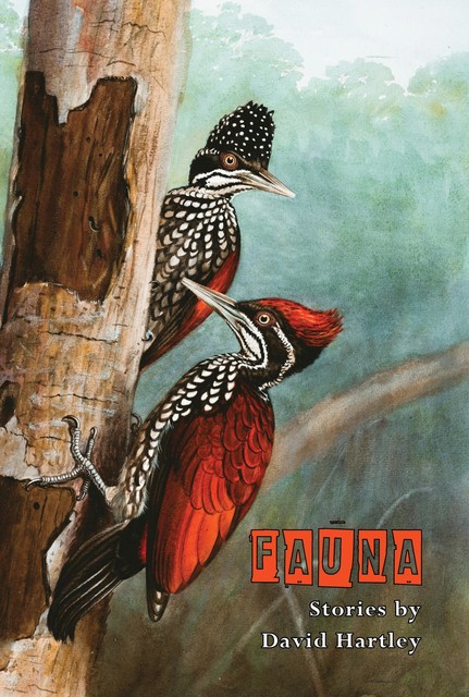 Fauna, David Hartley