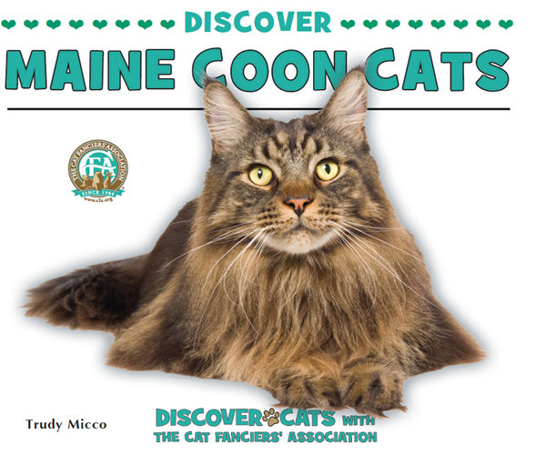 Discover Maine Coon Cats, Trudy Micco