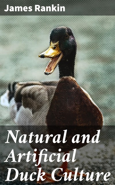 Natural and Artificial Duck Culture, James Rankin