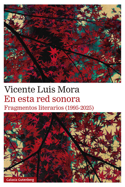 En esta red sonora, Vicente Luis Mora