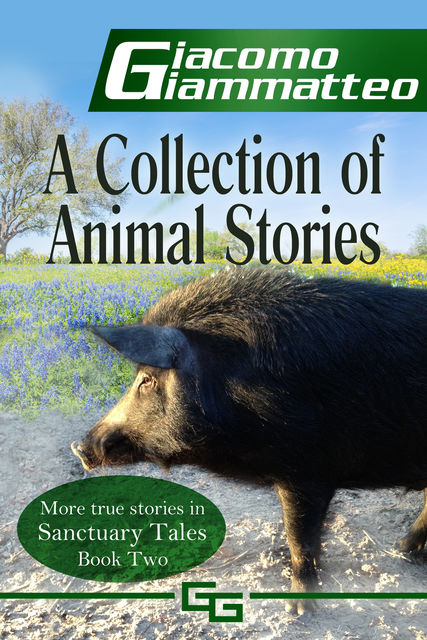 A Collection of Animal Stories, Giacomo Giammatteo