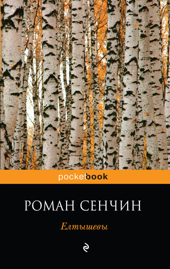 Елтышевы, Роман Сенчин