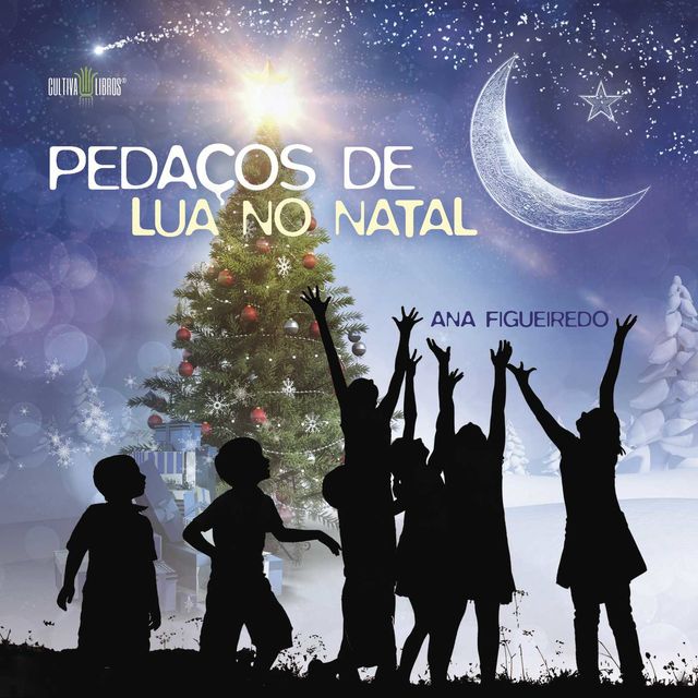 Pedaços de lua no Natal, Ana Figueiredo