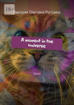 A moment in the universe. Story, Виктория Олеговна Рогозина