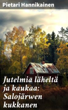 Jutelmia läheltä ja kaukaa II: Salojärwen kukkanen, Pietari Hannikainen