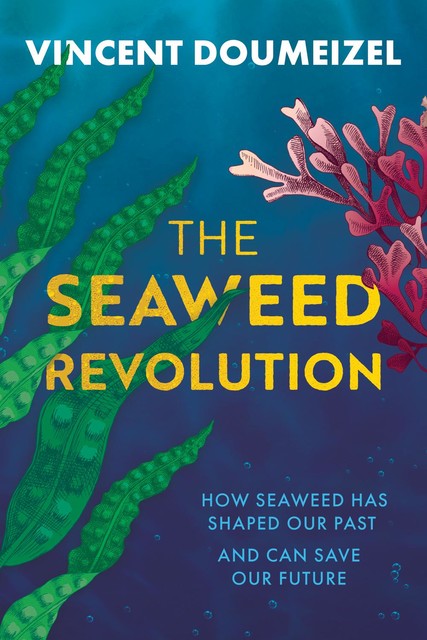 The Seaweed Revolution, Vincent Doumeizel