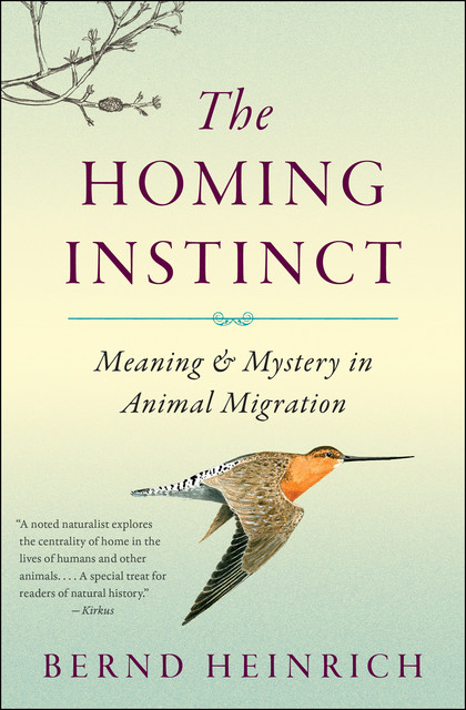 The Homing Instinct, Bernd Heinrich