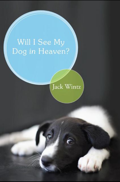 Will I See My Dog in Heaven?, Jack Wintz