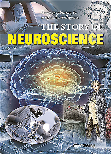 The Story of Neuroscience, Anne Rooney