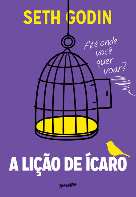 A Lição de Ícaro, Seth Godin