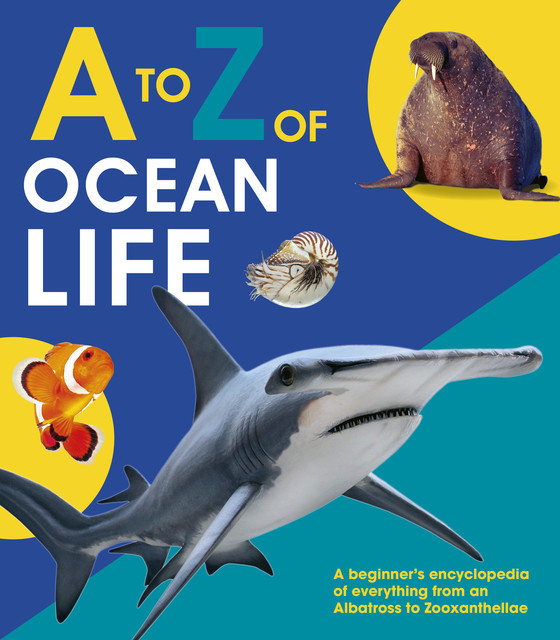 A to Z of Ocean Life, QED Publishing
