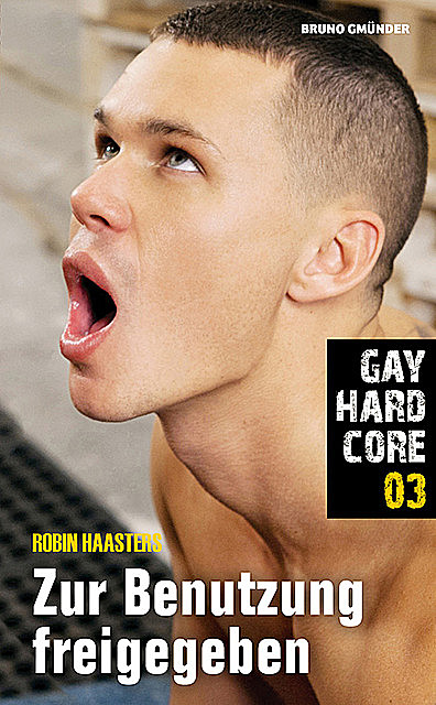 Gay Hardcore 03: Zur Benutzung freigegeben, Robin Haasters